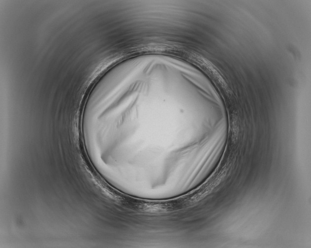 X0000111200794200907221129