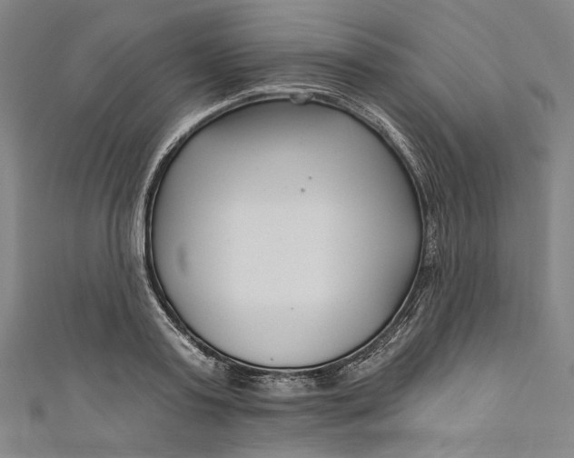 X0000111200795200907221129