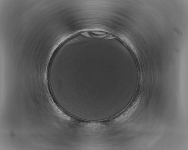 X0000111200797200907221128