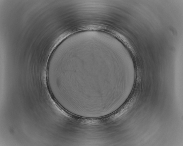 X0000111200802200907221128