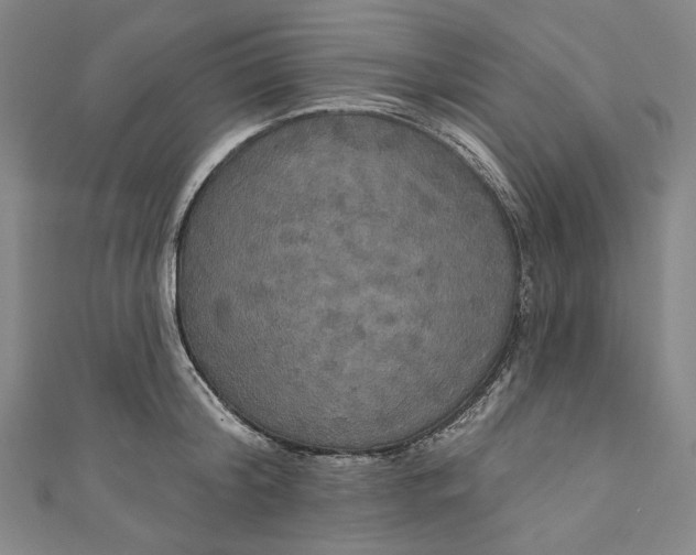 X0000111200804200907221128