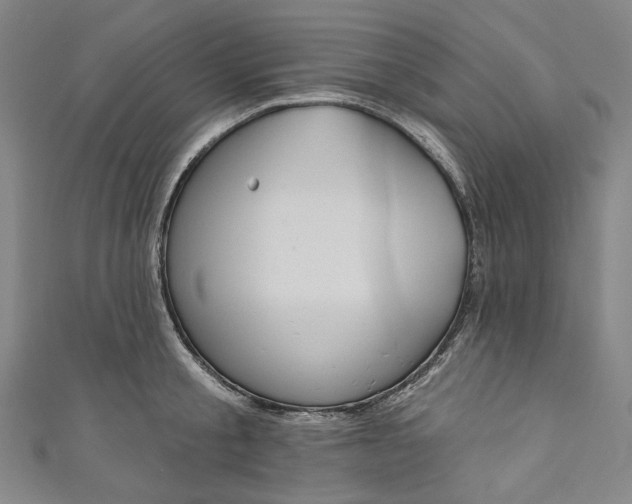 X0000111200805200907221128