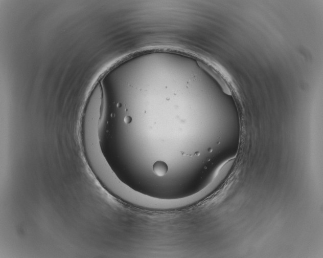 X0000111200807200907221128