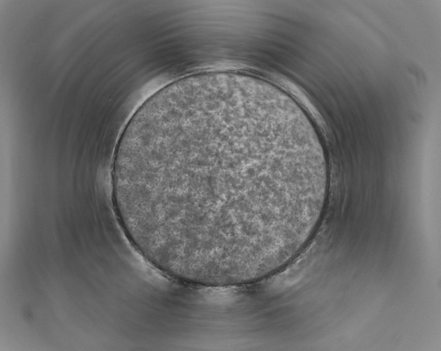 X0000111200810200907221128