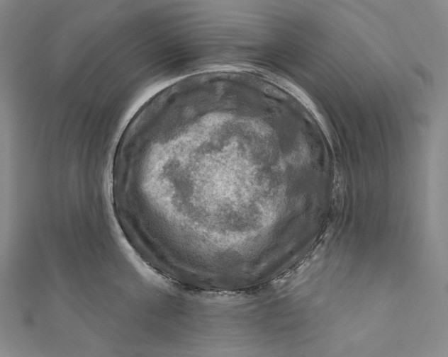 X0000111200811200907221128