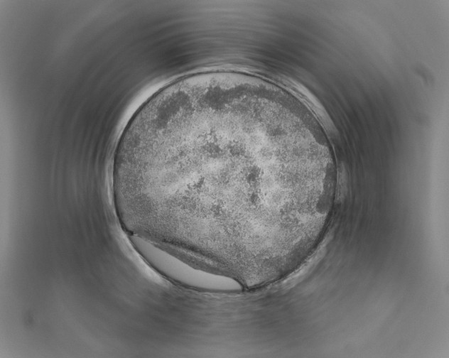 X0000111200812200907221128