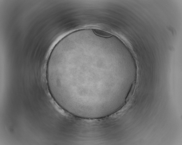 X0000111200816200907221128