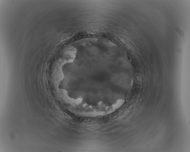 X0000111200817200907221128