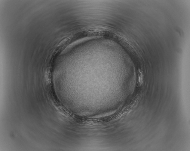 X0000111200819200907221128