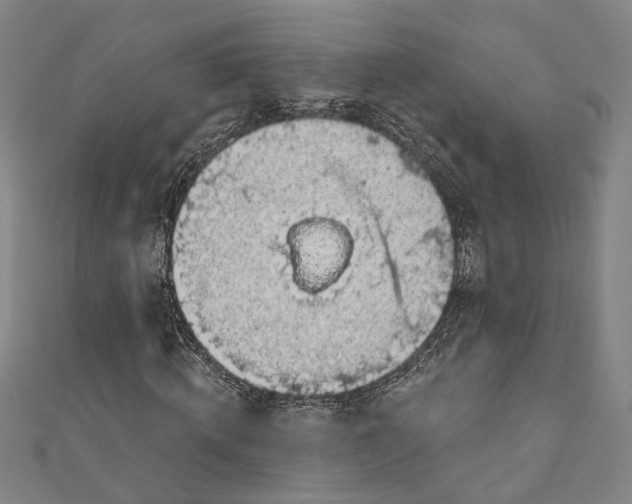 X0000111200820200907221128