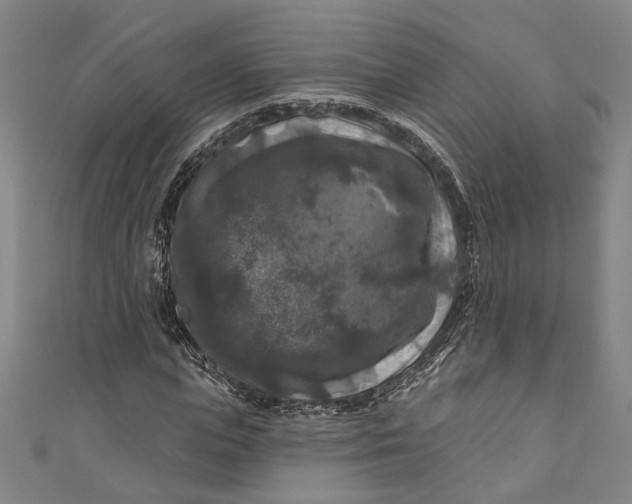 X0000111200823200907221128