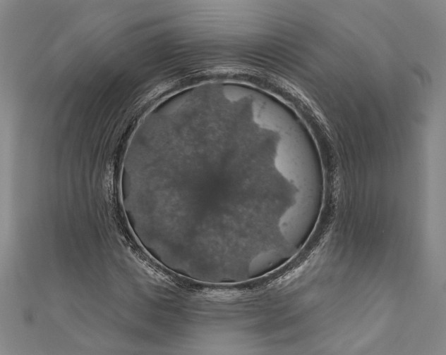 X0000111200825200907221128