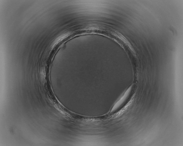 X0000111200826200907221128