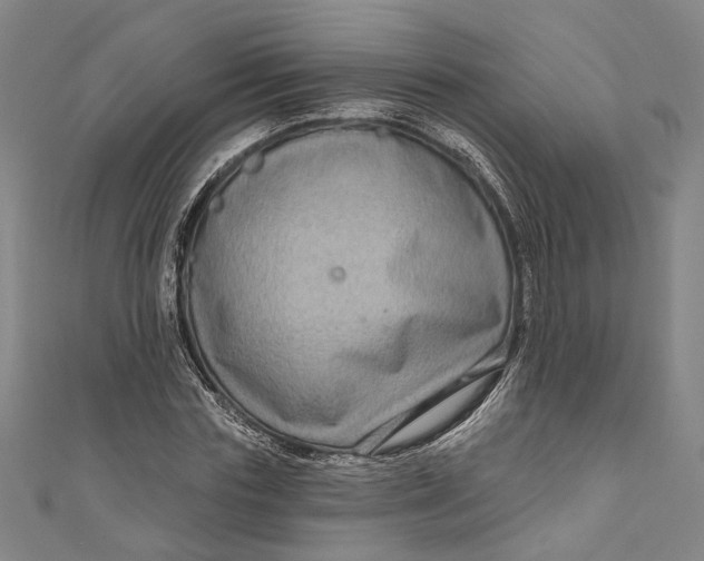 X0000111200827200907221128