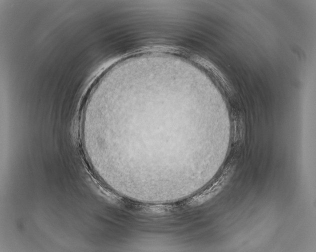 X0000111200828200907221128