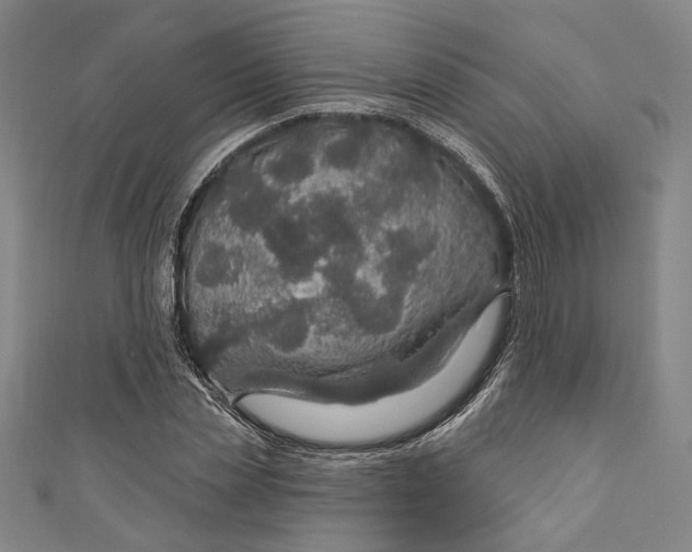 X0000111200829200907221128