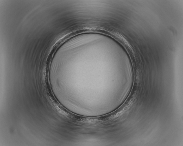 X0000111200831200907221128