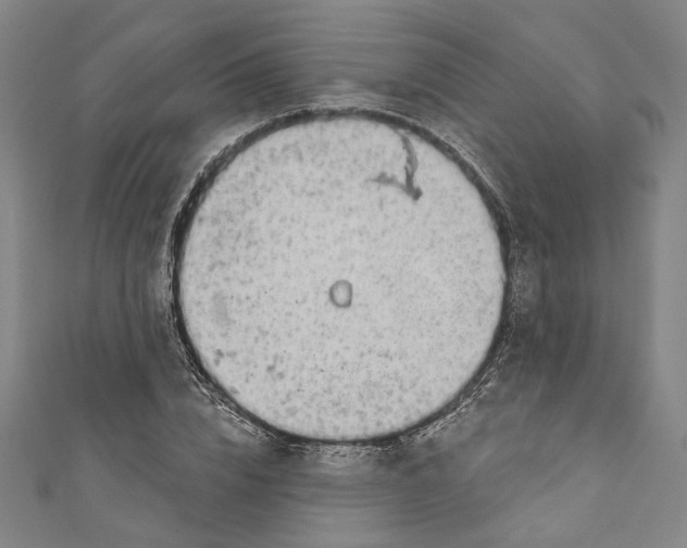 X0000111200832200907221128