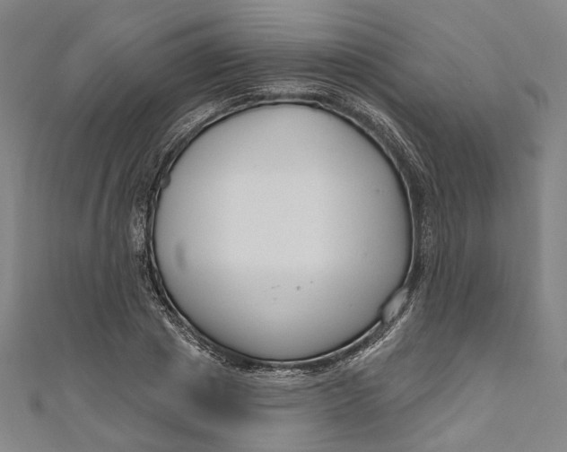 X0000111200833200907221128