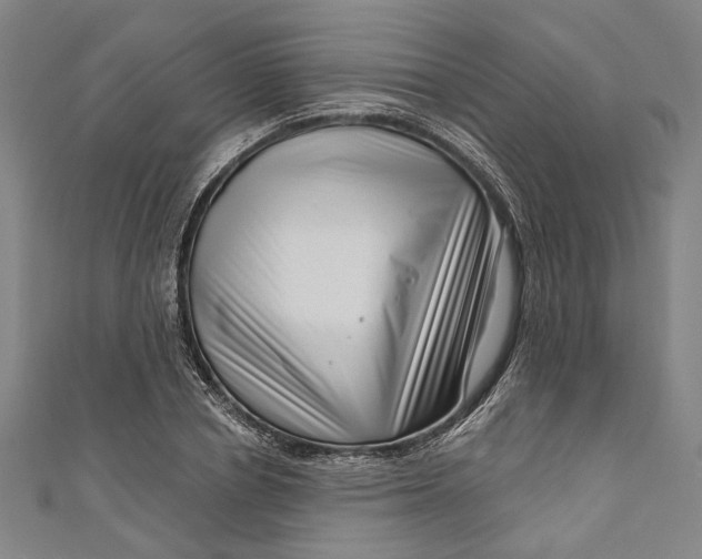 X0000111200834200907221128