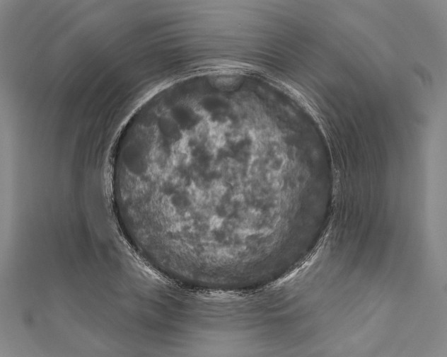 X0000111200835200907221128