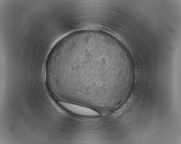 X0000111200838200907221128