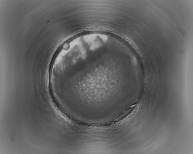 X0000111200840200907221128