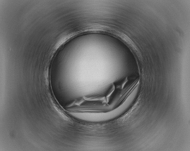 X0000111200842200907221128