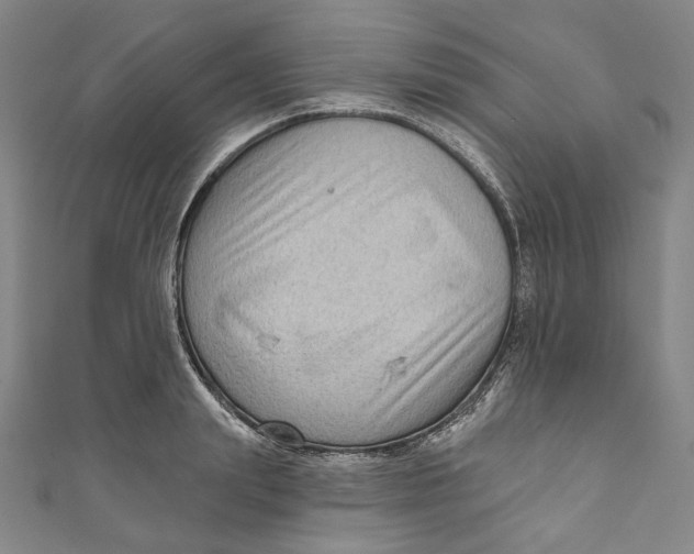 X0000111200847200907221128