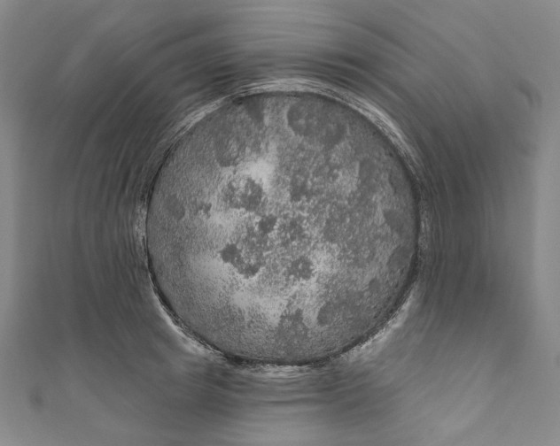 X0000111200849200907221128