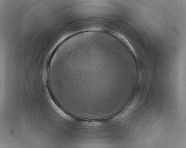 X0000111200851200907221128