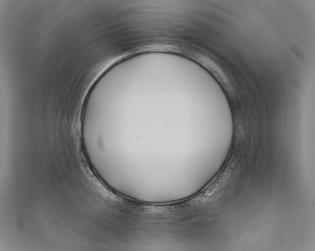 X0000111200852200907221128