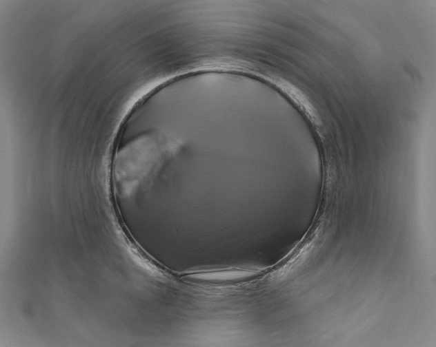 X0000111200854200907221128