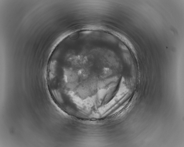 X0000111200855200907221128