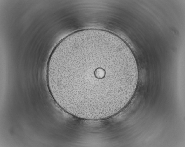 X0000111200856200907221128