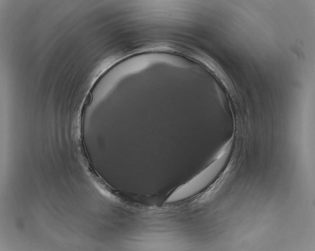 X0000111200858200907221128