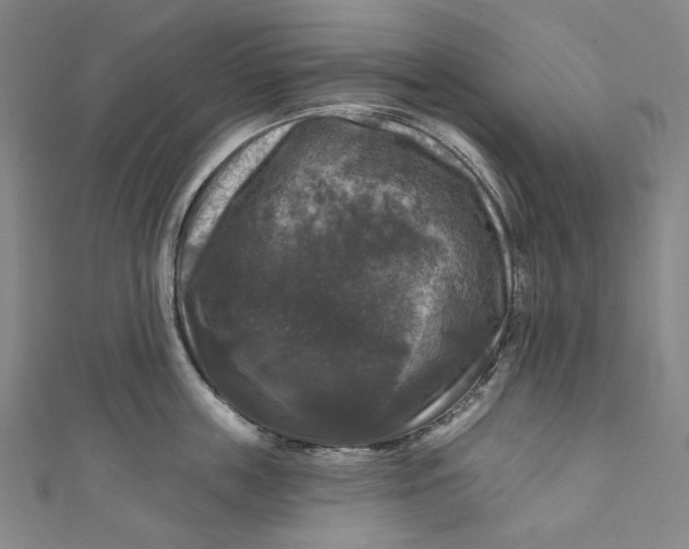 X0000111200859200907221128