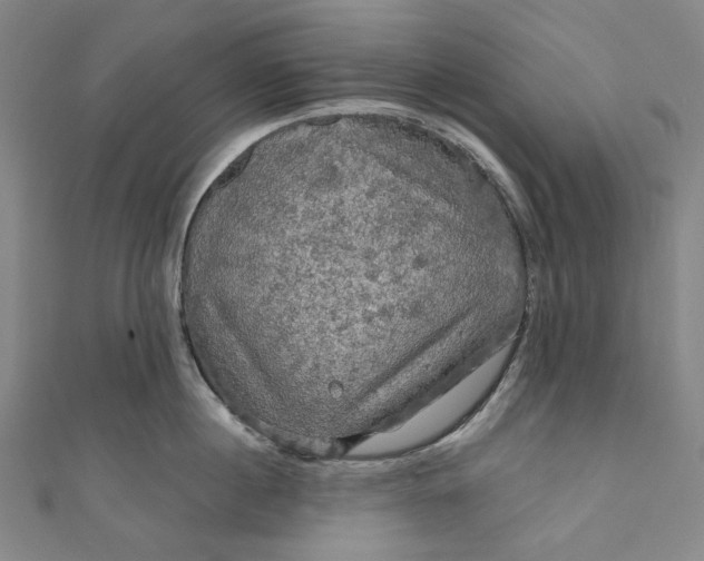 X0000111200860200907221128