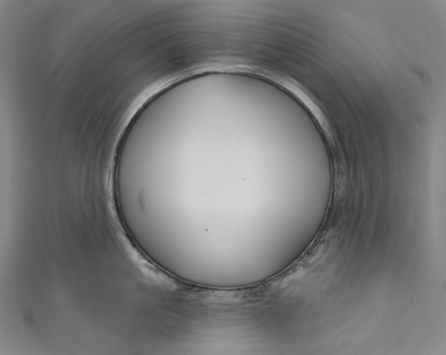 X0000111200861200907221128