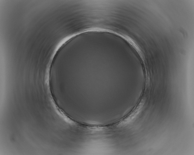 X0000111200862200907221128