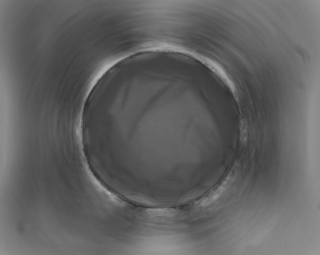 X0000111200863200907221128