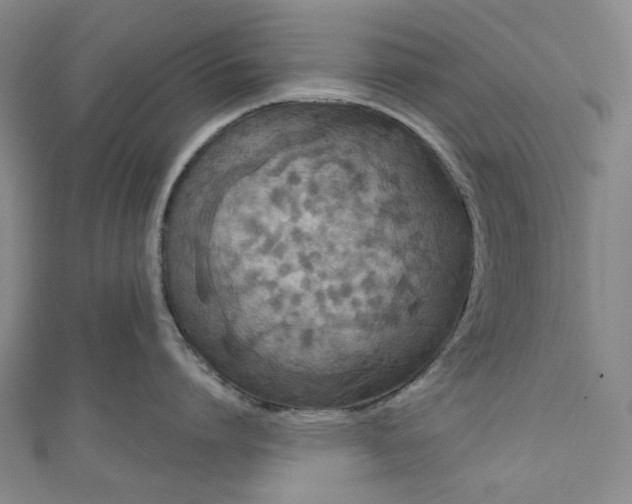 X0000111200864200907221128