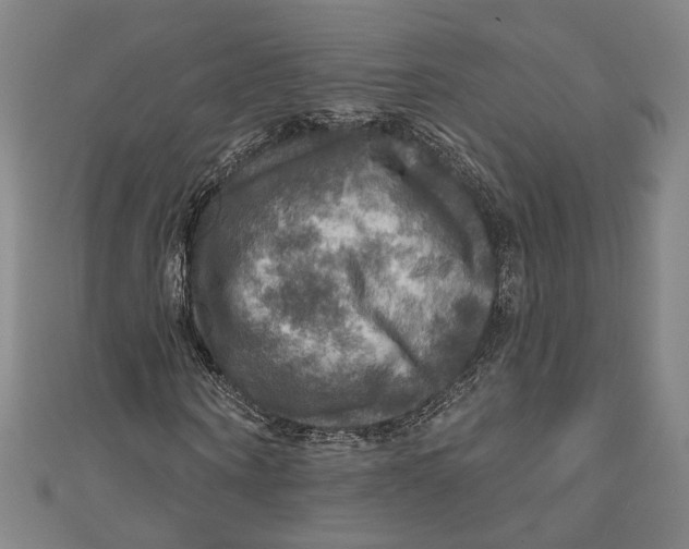 X0000111200866200907221128