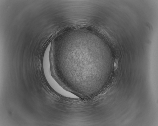 X0000111200867200907221128