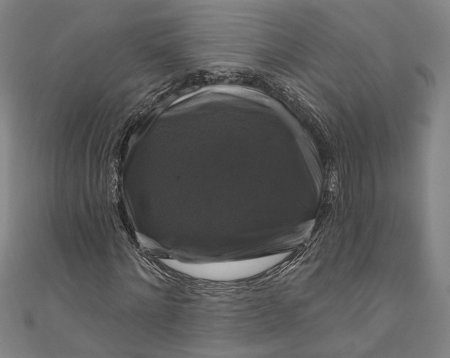 X0000111200868200907221128