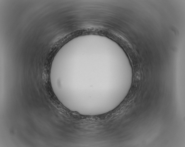 X0000111200869200907221128