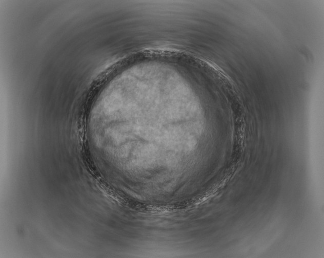 X0000111200870200907221128