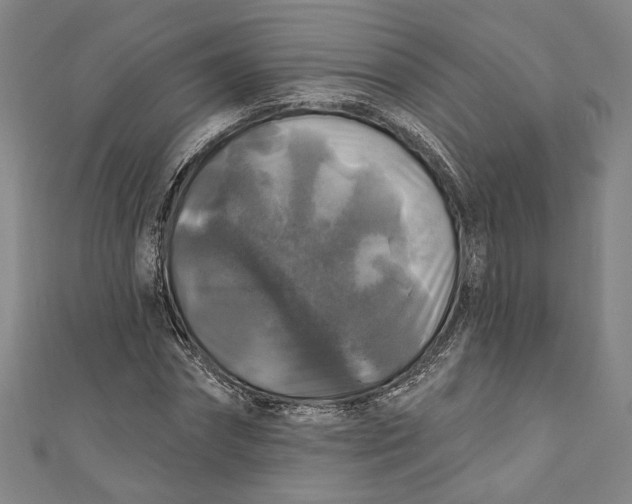 X0000111200874200907221128