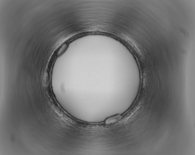 X0000111200876200907221127