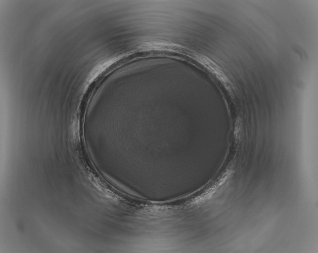 X0000111200877200907221127